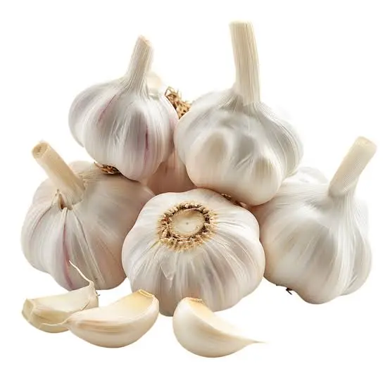 Garlic (Lasan)